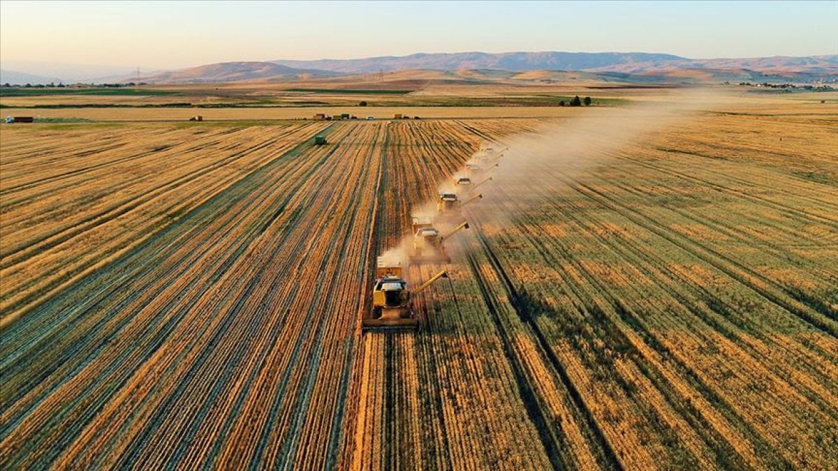 Agrotech yabancı yatırımcının radarına girdi