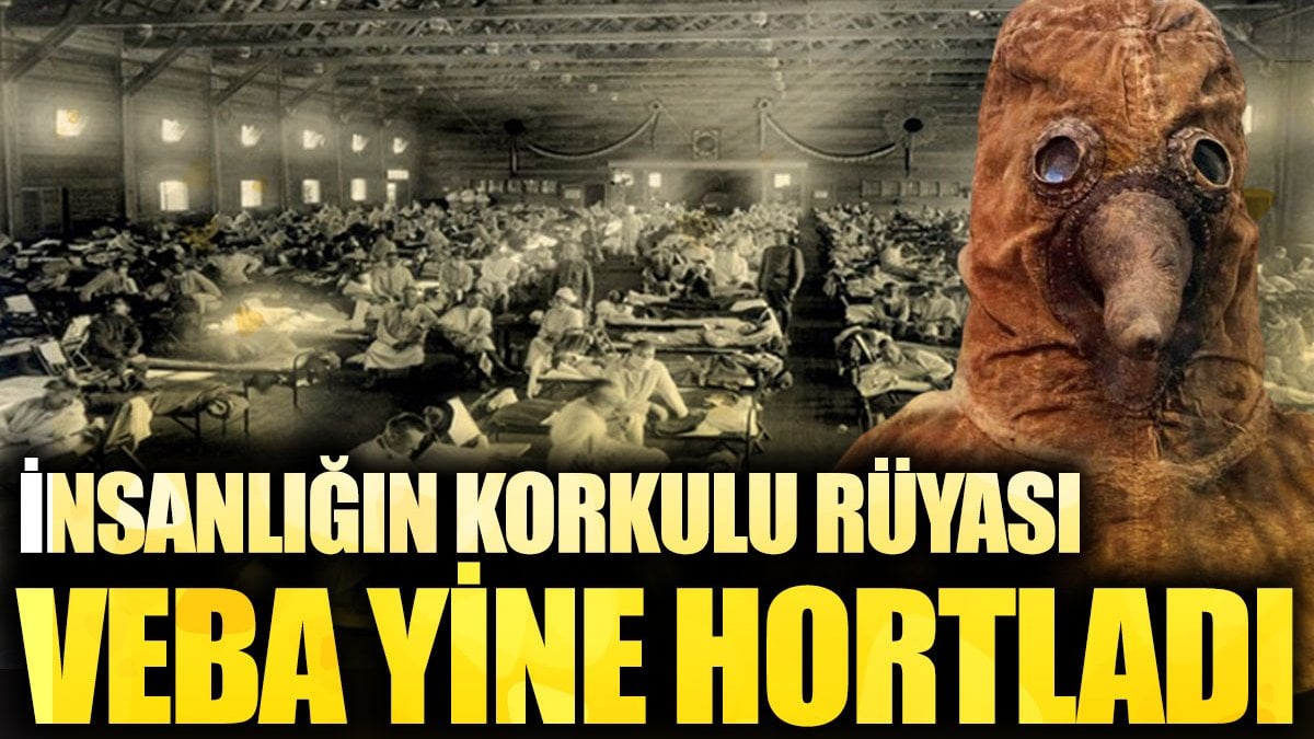 İnsanlığın korkulu rüyası veba yine hortladı