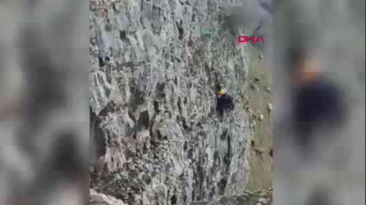Keçi otlarken kayalıklardan düştü! Şıkıştığı yerden AFAD ekibi kurtardı