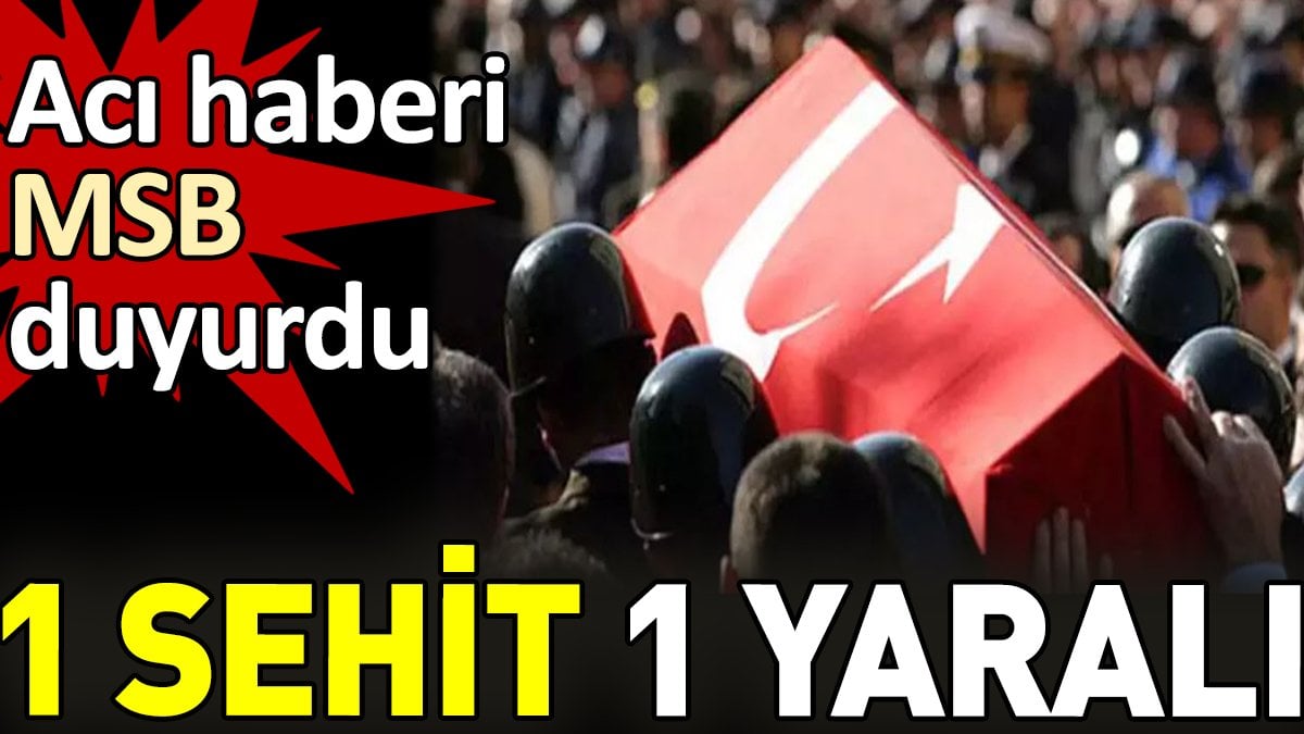 Son dakika...  Acı haberi MSB duyurdu. 1 şehit 1 yaralı