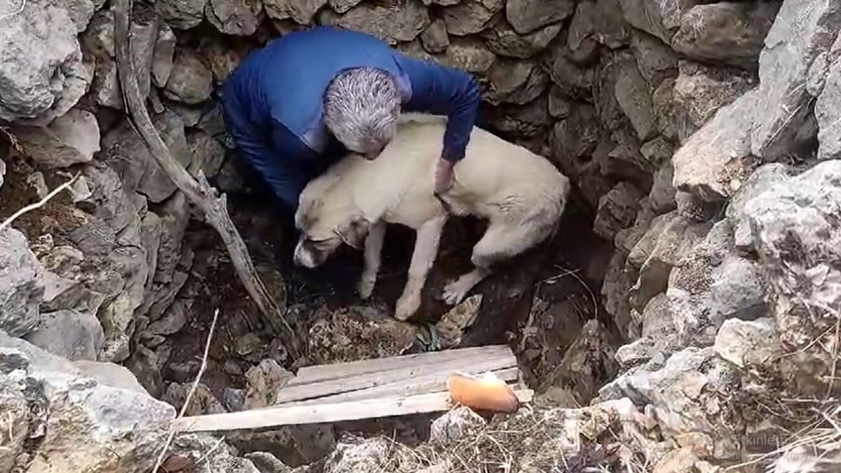 Kuyuya düşen köpek kurtarıldı
