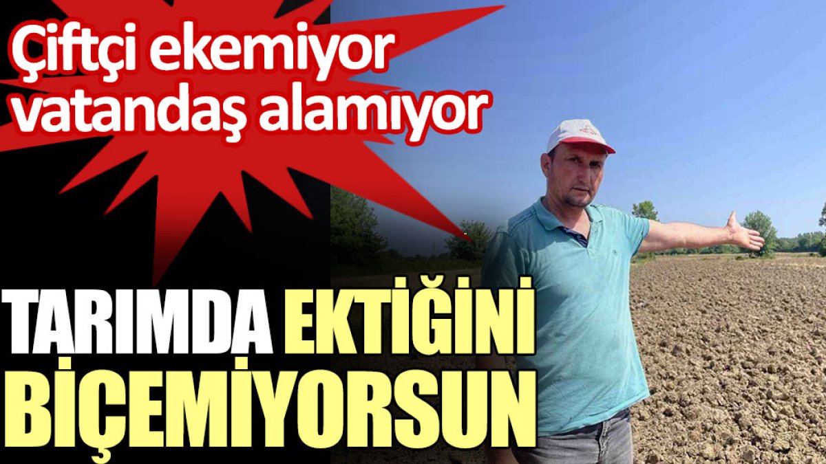 Tarımda ektiğini biçemiyorsun. Çiftçi ekemiyor, vatandaş alamıyor