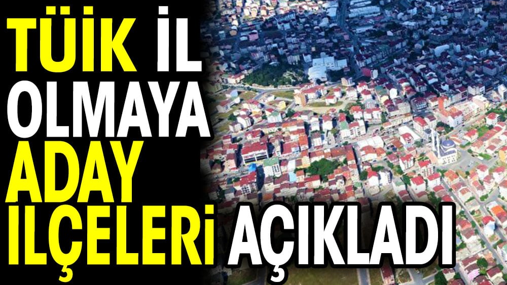 TÜİK il olmaya aday ilçeleri açıkladı