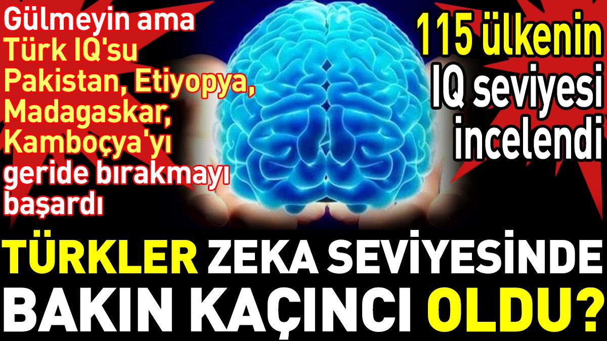 Türkler zeka seviyesinde bakın kaçıncı oldu? 115 ülkenin IQ seviyesi incelendi