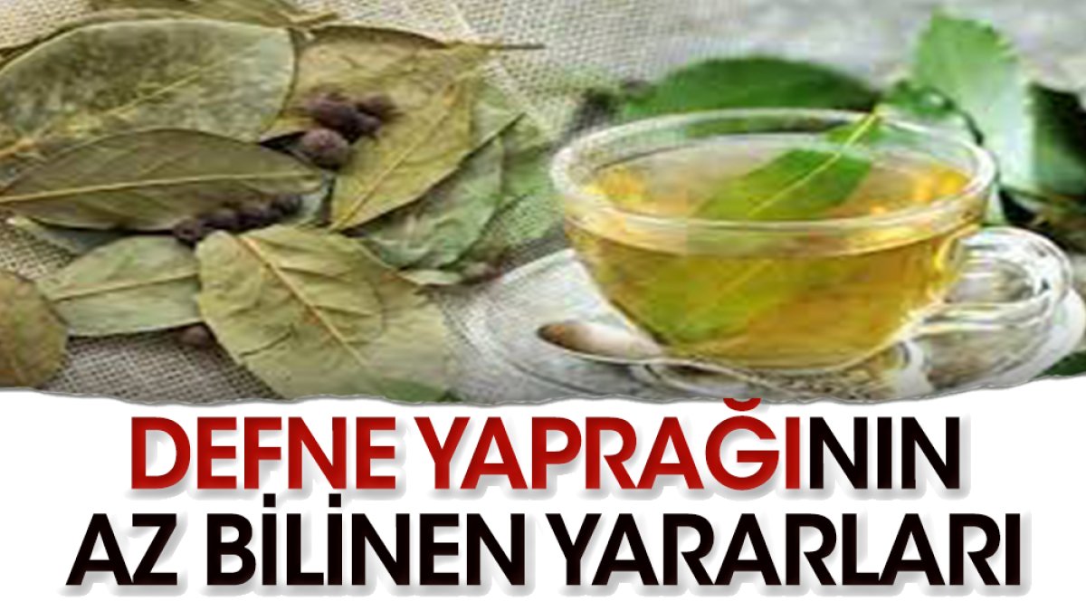 Defne yaprağı çayının bilinmeyen yararları