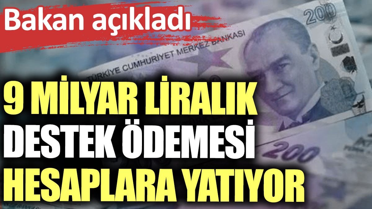 9 milyar liralık destek ödemesi hesaplara yatıyor. Bakan açıkladı