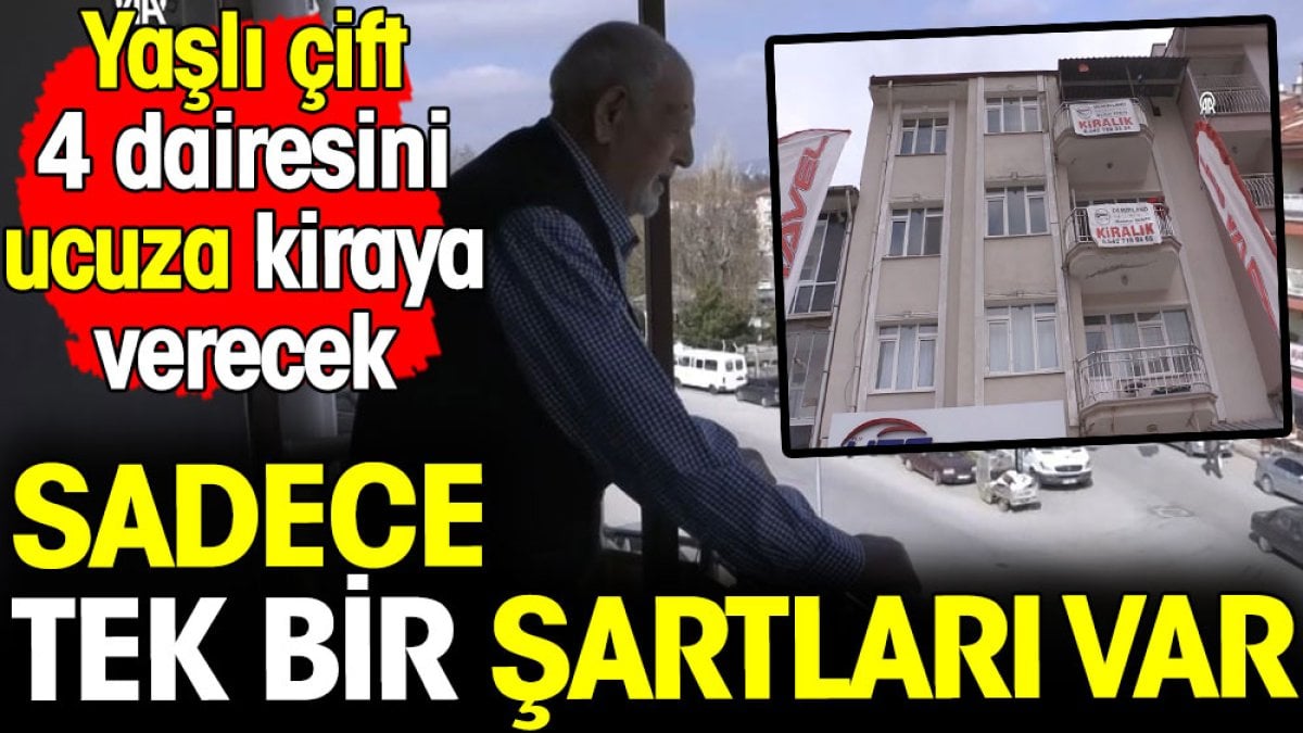 Yaşlı çift 4 dairesini ucuza kiraya verecek! Sadece tek bir şartları var