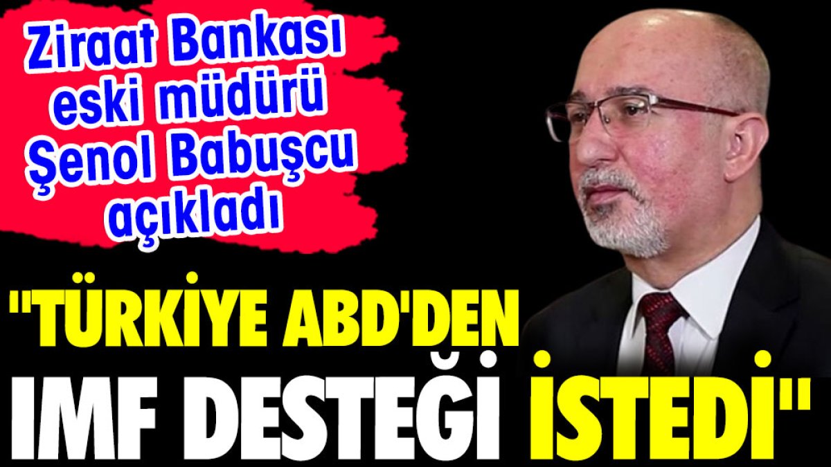 'Türkiye ABD'den IMF desteği istedi'. Ziraat Bankası eski müdürü Şenol Babuşcu açıkladı