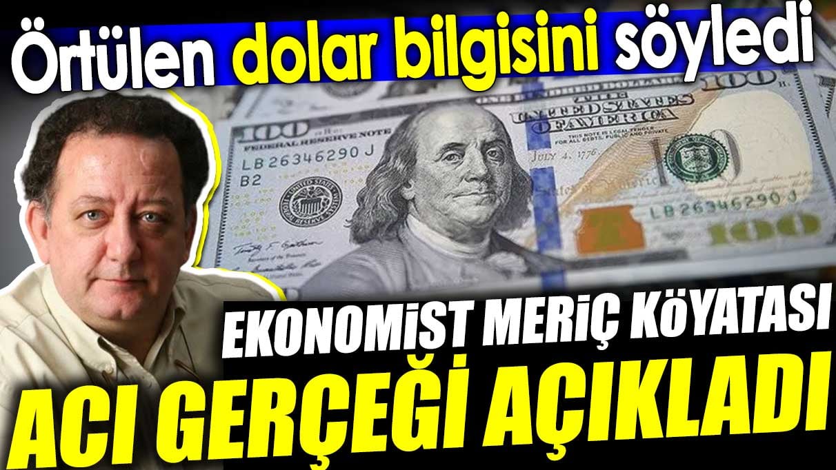 Ekonomist Meriç Köyatası acı gerçeği açıkladı. Örtülen dolar bilgisini söyledi