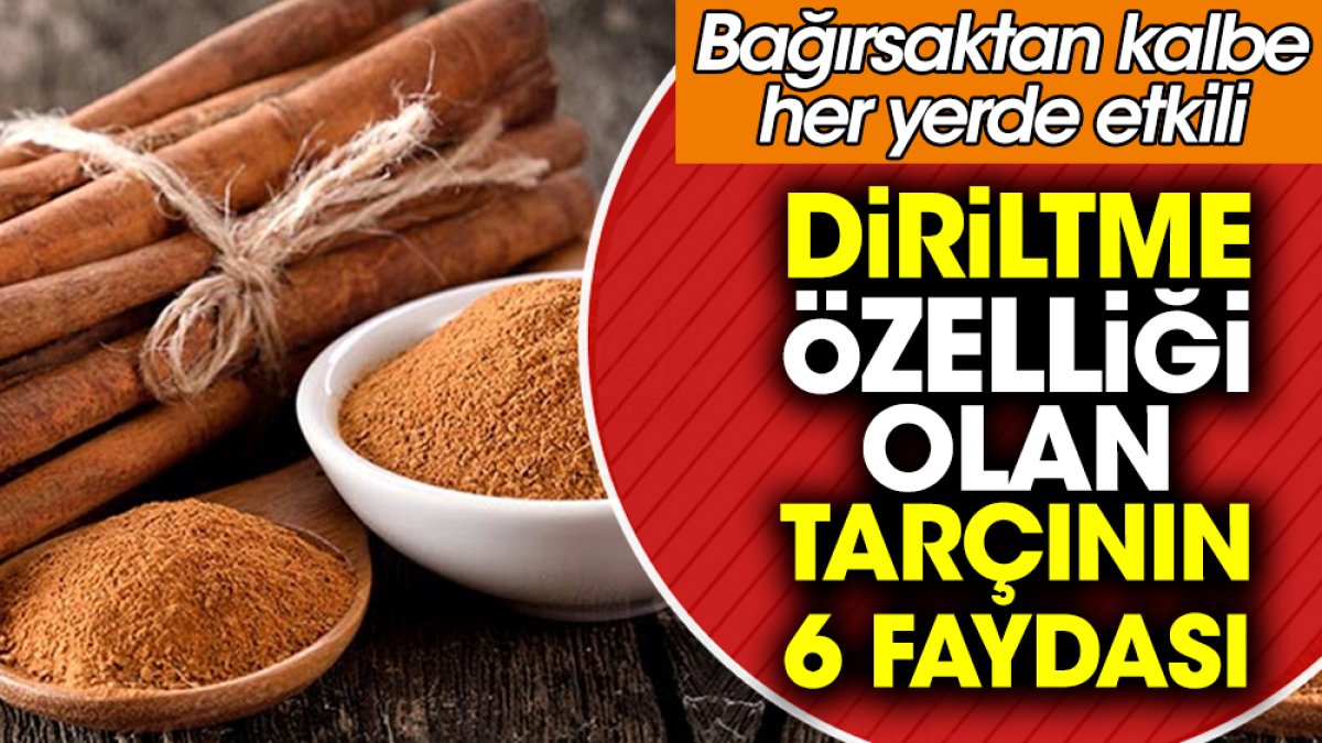 Diriltme özelliği olan tarçının 6 faydası. Bağırsaktan kalbe her yerde etkili