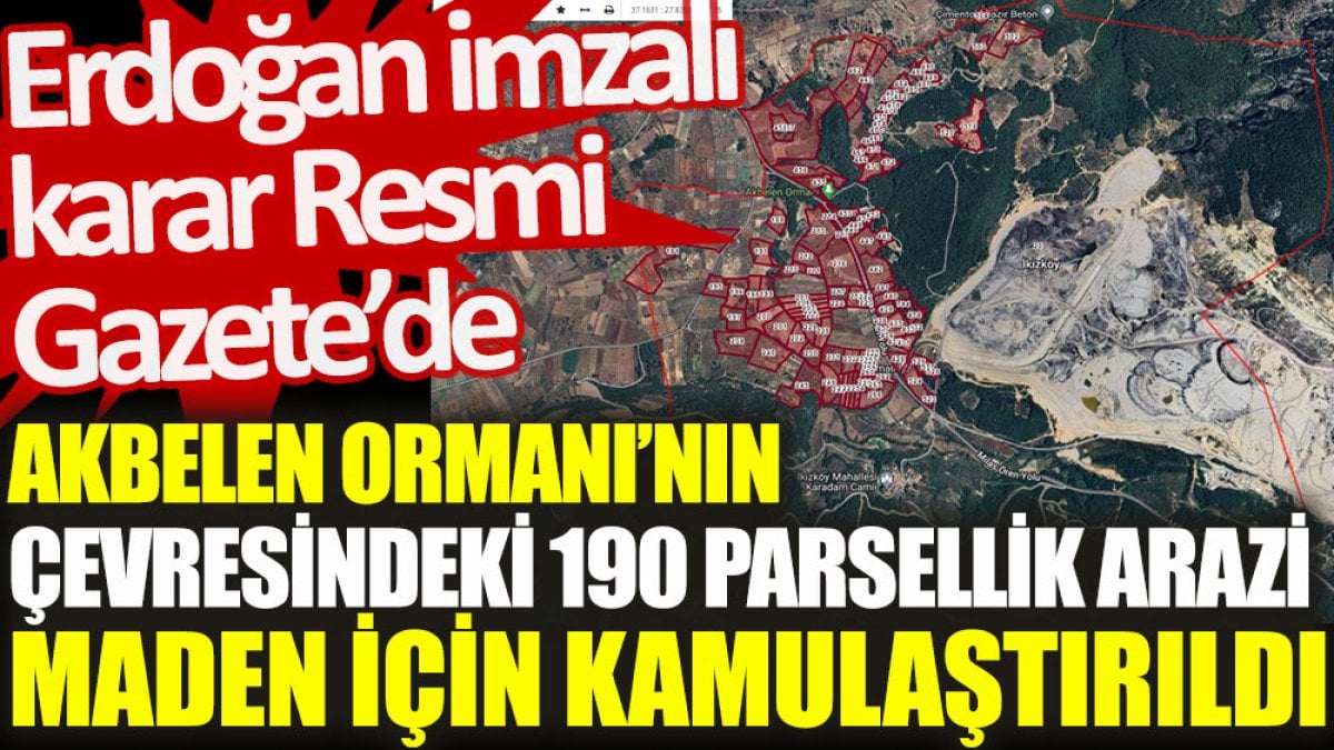 Akbelen Ormanı’nın çevresi maden için kamulaştırıldı. Erdoğan imzalı karar Resmi Gazete’de