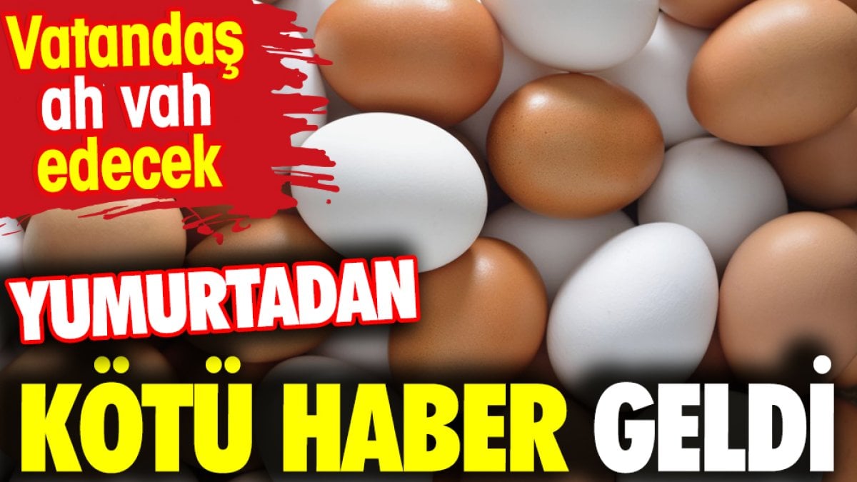 Yumurtadan kötü haber geldi. Vatandaş ah vah edecek