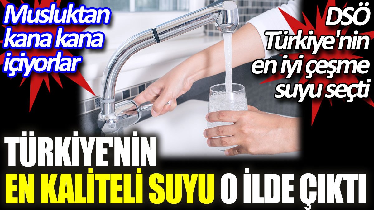 Türkiye'nin en kaliteli suyu o ilde çıktı. Musluktan kana kana içiyorlar. DSÖ Türkiye'nin en iyi çeşme suyu seçti