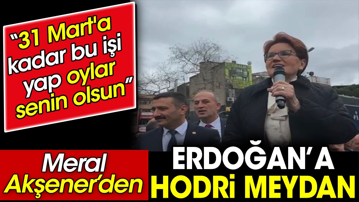 Akşener'den Erdoğan'a hodri meydan: 31 Mart'a kadar bu işi yap oylar senin olsun