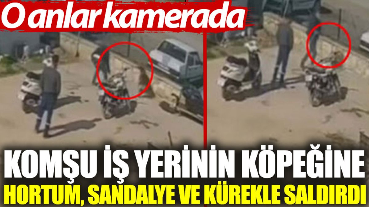 Komşu iş yerinin köpeğine hortum, sandalye ve kürekle saldırdı. O anlar kamerada