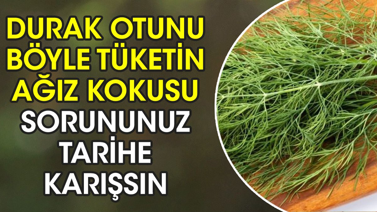 Durak otunu böyle tüketin ağız kokusu sorununuz tarihe karışsın