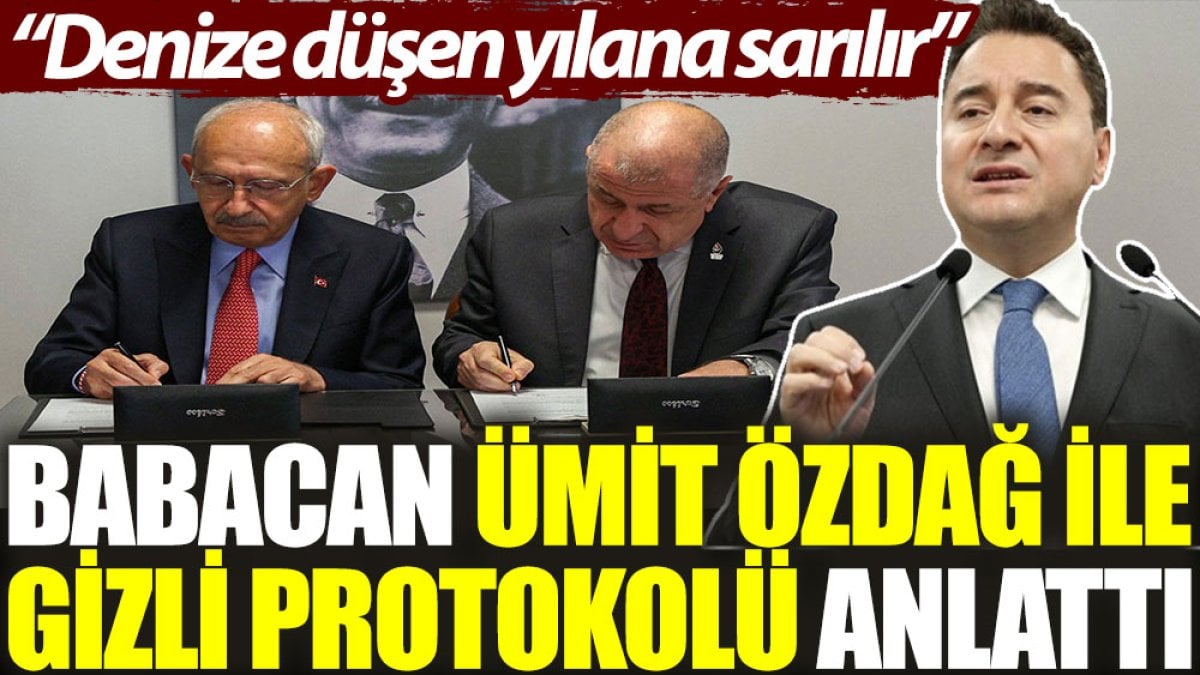 Babacan, Ümit Özdağ ile gizli protokolü anlattı: Denize düşen yılana sarılır