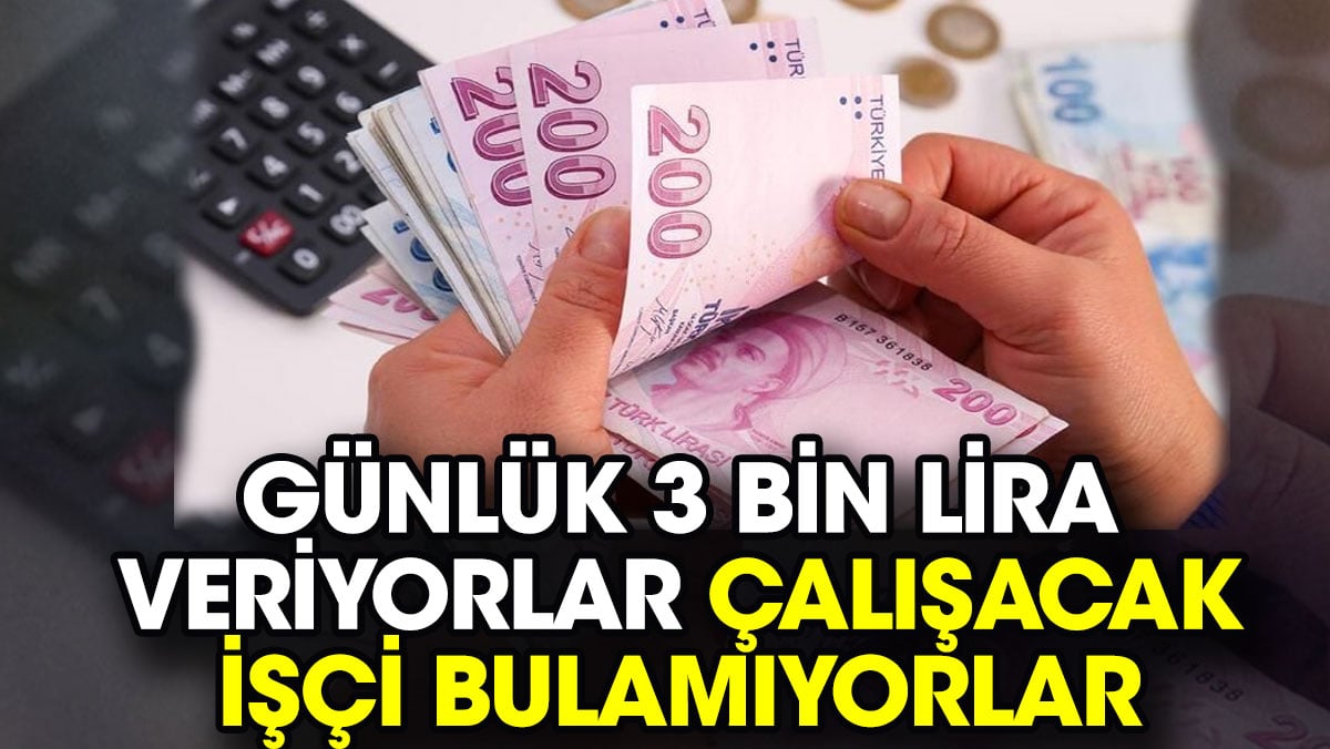 Günlük 3 bin lira veriyorlar çalışacak işçi bulamıyorlar