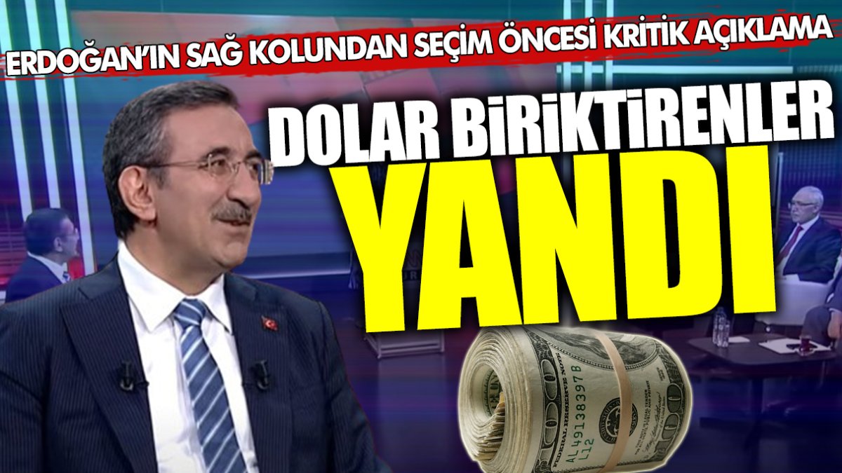 Erdoğan’ın sağ kolundan seçim öncesi kritik döviz açıklaması: Dolar biriktirenler yandı