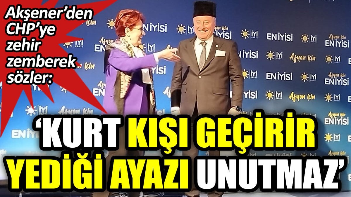 Akşener'den CHP'ye zehir zemberek sözler. "Kurt kışı geçirir yediği ayazı unutmaz"