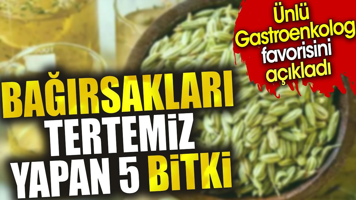 Bağırsakları tertemiz yapan 5 bitki. Ünlü Gastroenkolog favorisini açıkladı