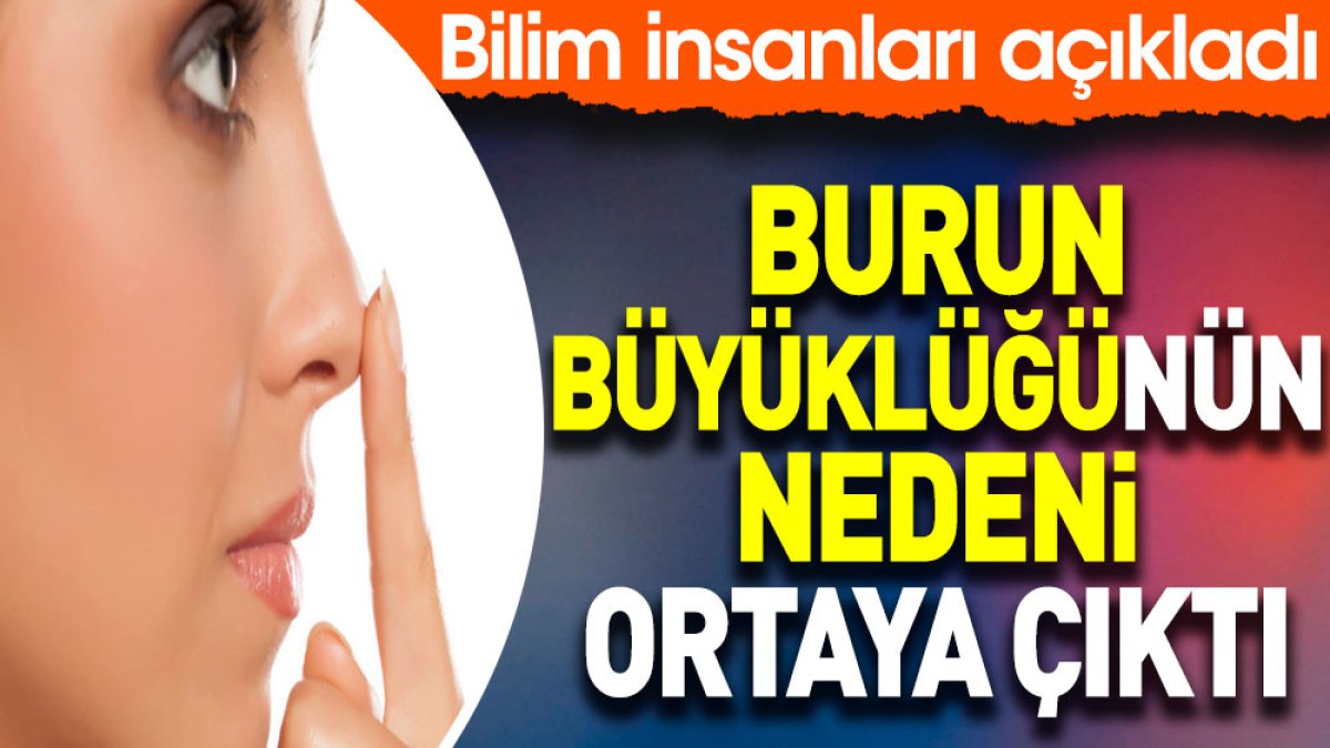 Burun büyüklüğünün nedeni ortaya çıktı. Bilim insanları açıkladı