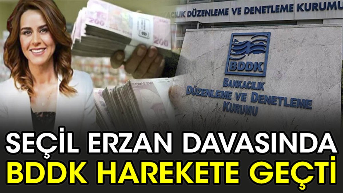 Seçil Erzan davasında BDDK harekete geçti