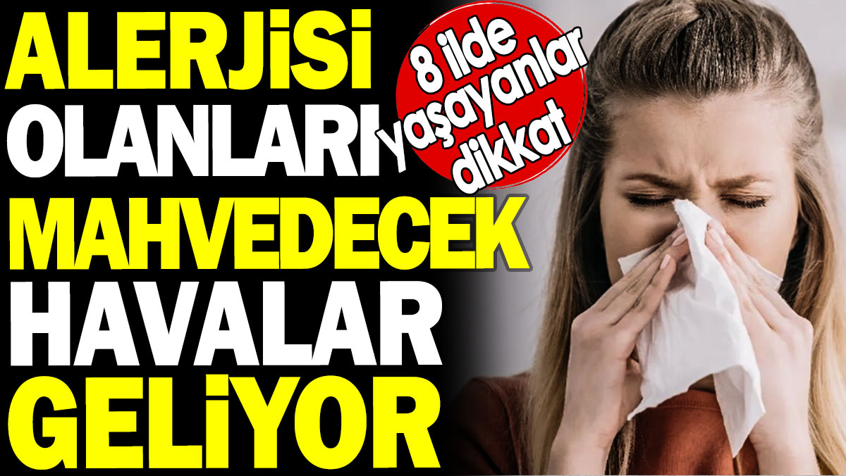 Alerjisi olanları mahvedecek havalar geliyor. 8 ilde yaşayanlar dikkat