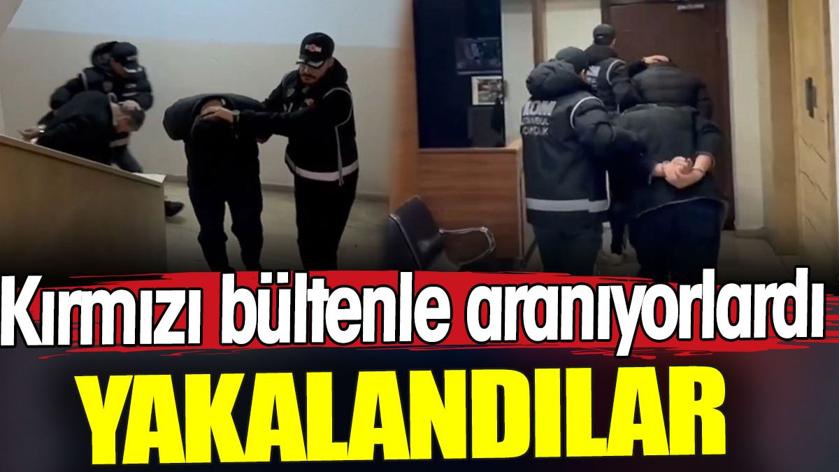 İstanbul'da yakalandılar. Kırmızı bültenle aranıyorlardı