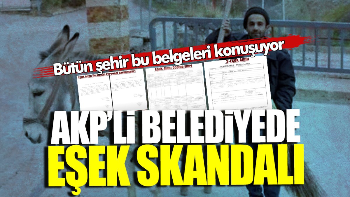 AKP’li belediyede eşek skandalı! Bütün şehir bu belgeleri konuşuyor