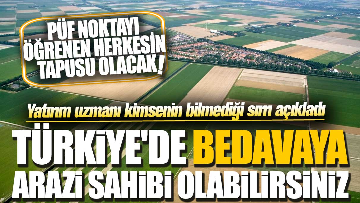 Türkiye'de bedavaya arazi sahibi olabilirsiniz