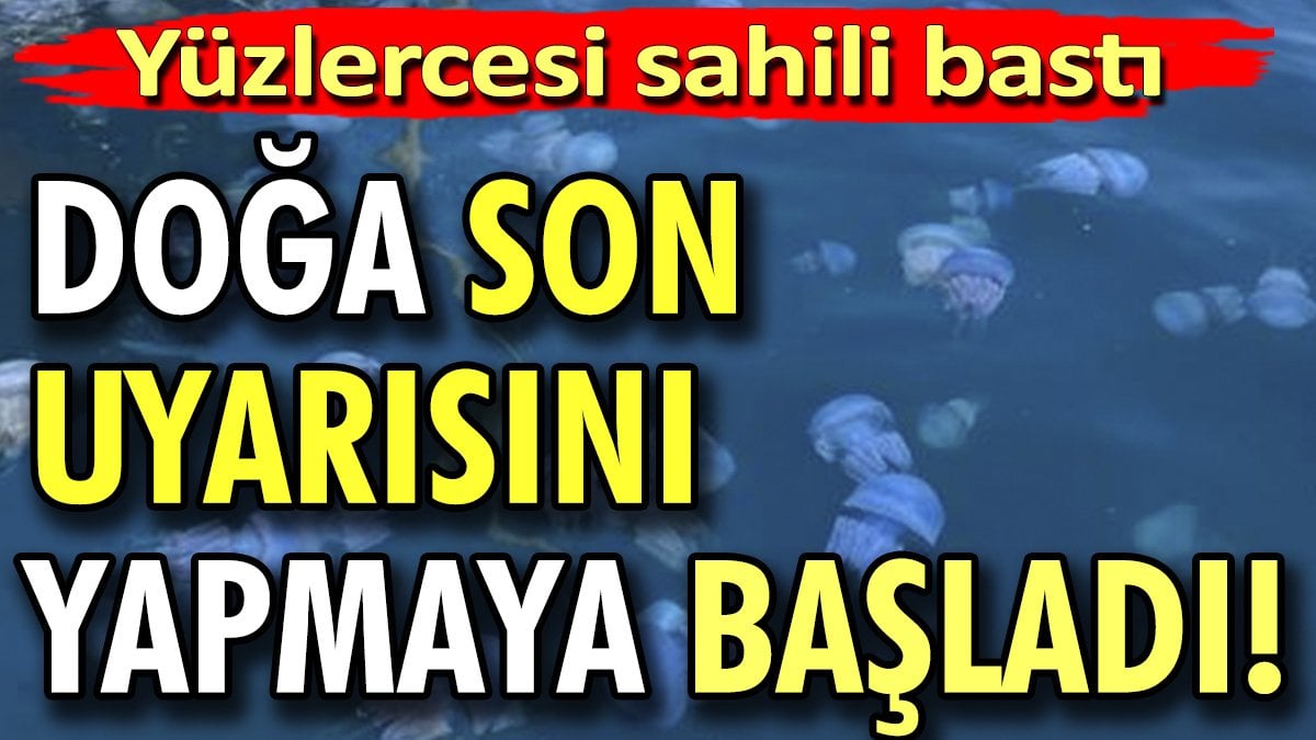 Yüzlercesi sahili bastı. Doğa son uyarılarını yapmaya başladı