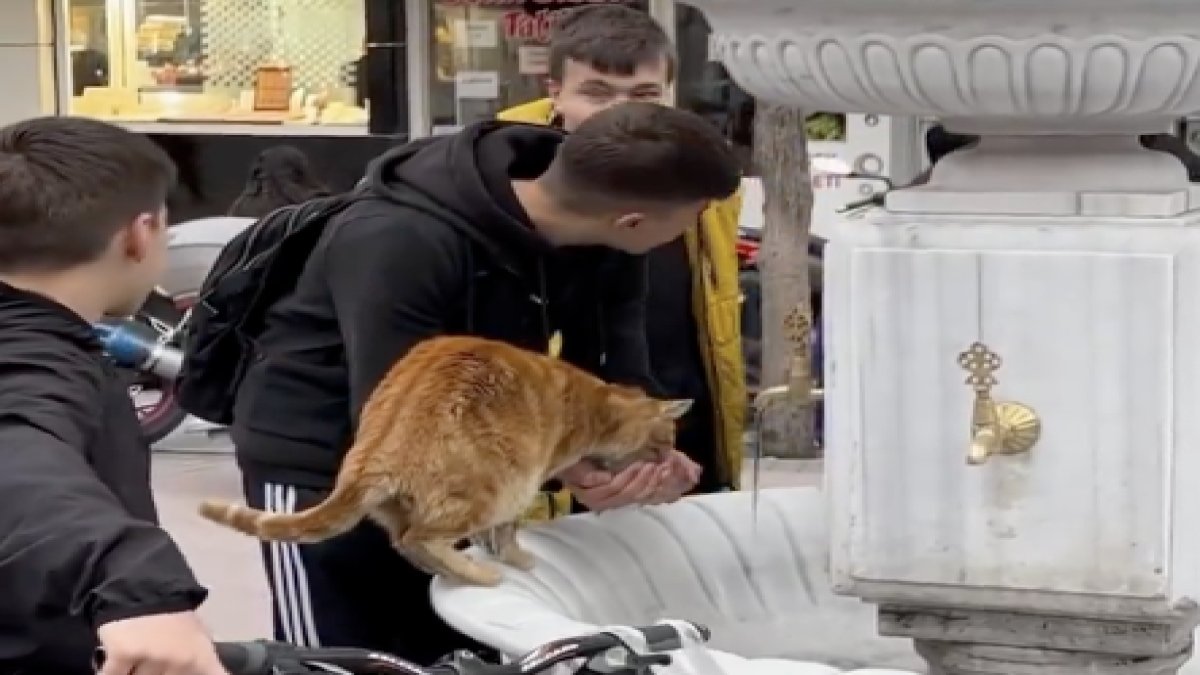Isparta'da susayan kediye elleriyle su içiren gençler kalpleri ısıttı