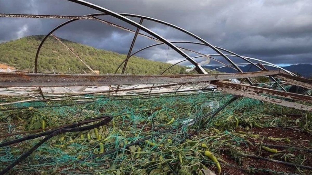 Antalyalı çiftçilere hasar tazminatı