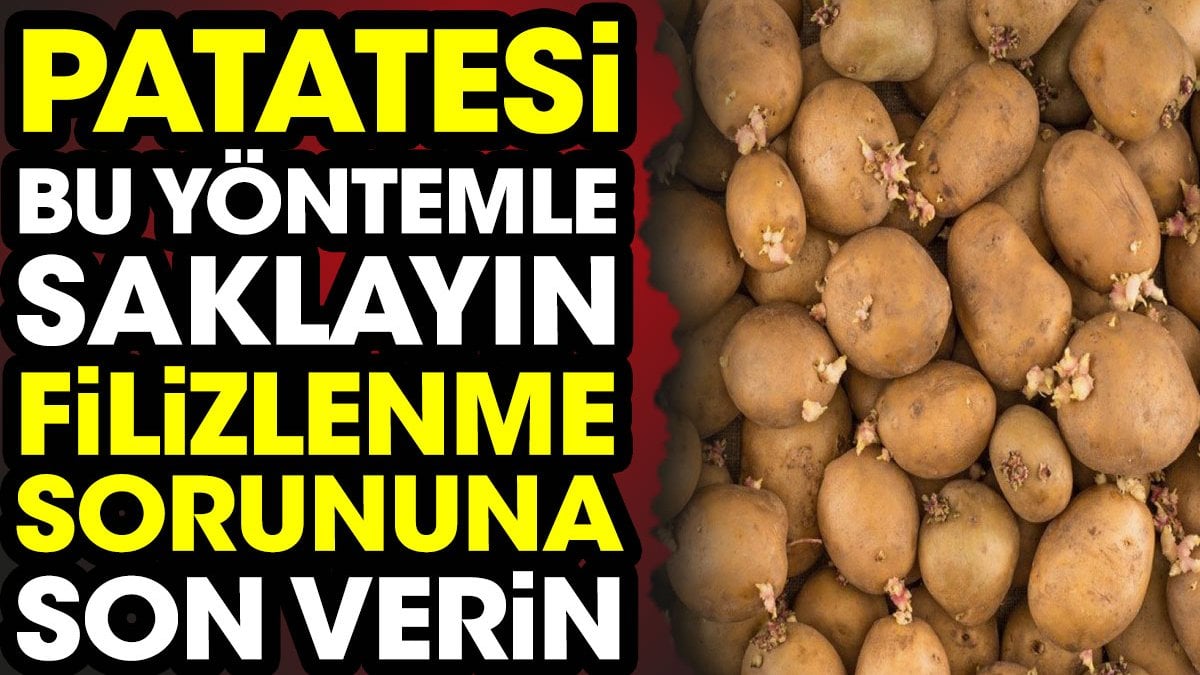 Patatesi bu yöntemle saklayın filizlenme sorununa son verin