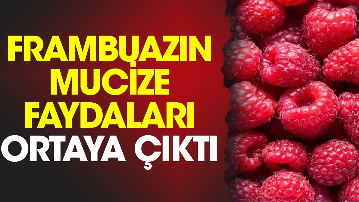 Frambuazın mucize faydaları ortaya çıktı