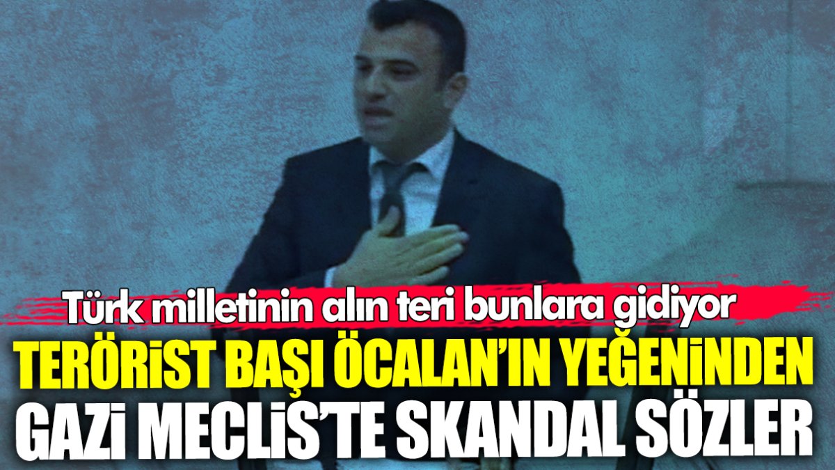 Türk milletinin alın teri bunlara gidiyor! Terörist başı Öcalan’ın yeğeninden skandal sözler