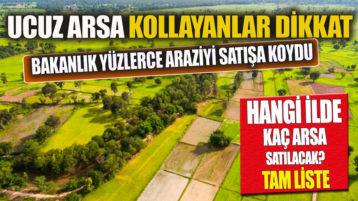 Ucuz arsa bekleyenler dikkat! Bakanlık yüzlerce araziyi satışa çıkardı