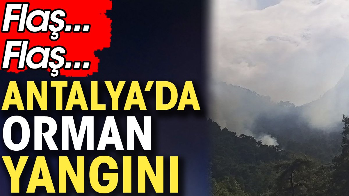 Flaş... Flaş... Antalya'da orman yangını