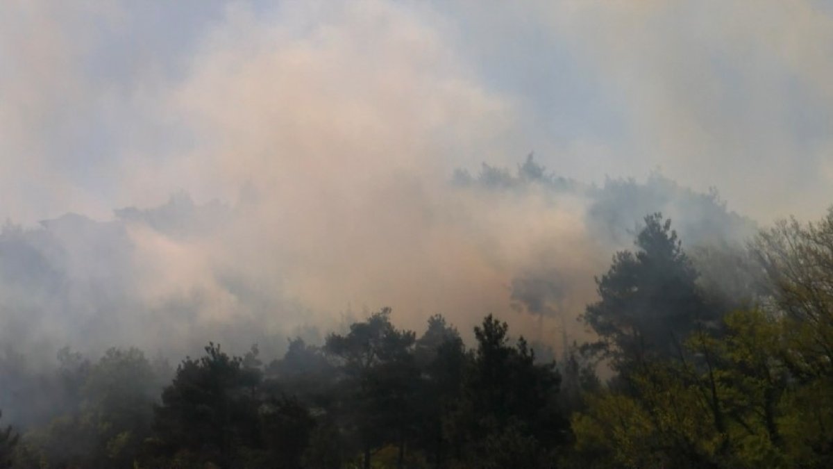 Bursa Dağyenice'deki orman yangını kontrol altına alındı