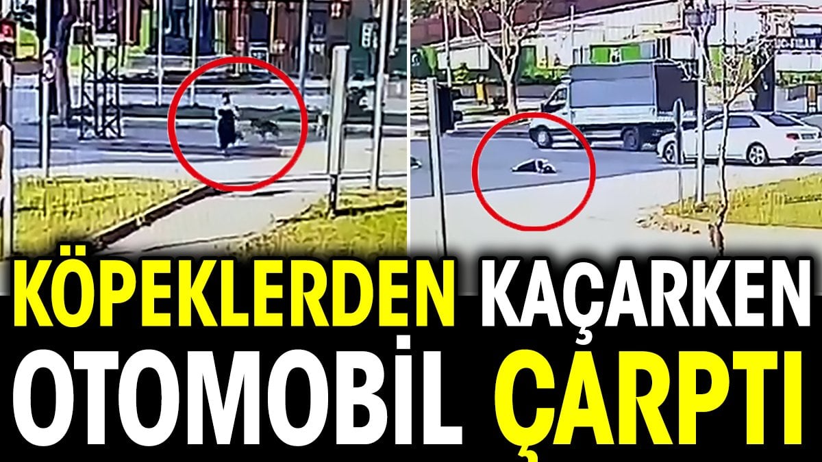 Köpeklerden kaçarken otomobil çarptı