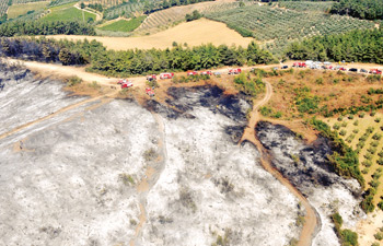 Yangında 50 hektar alan küle döndü