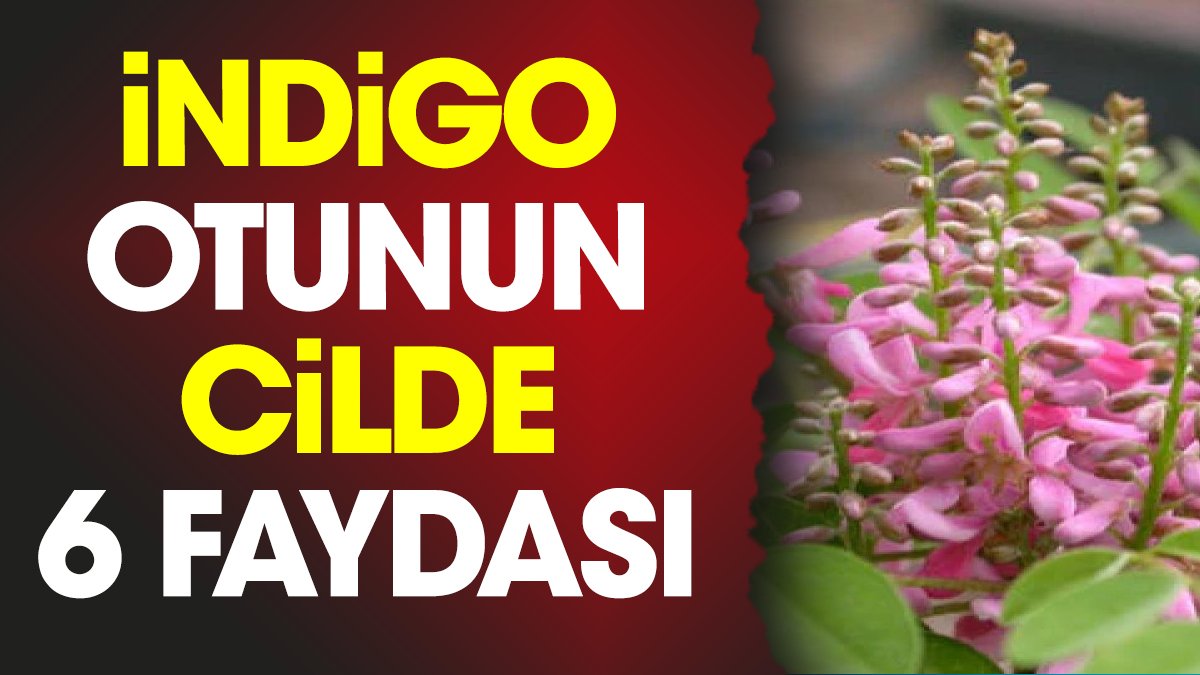 İndigo otunun cilde 6 faydası