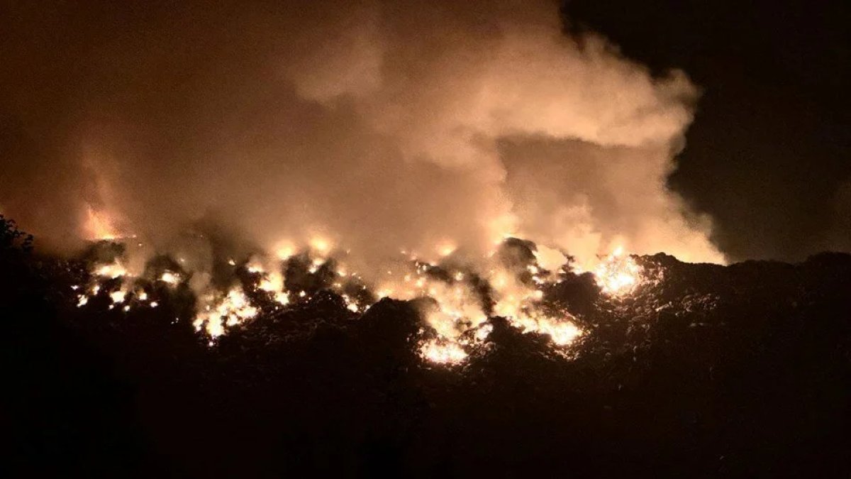 Yalova’da orman yangını: 1 kişi gözaltına alındı