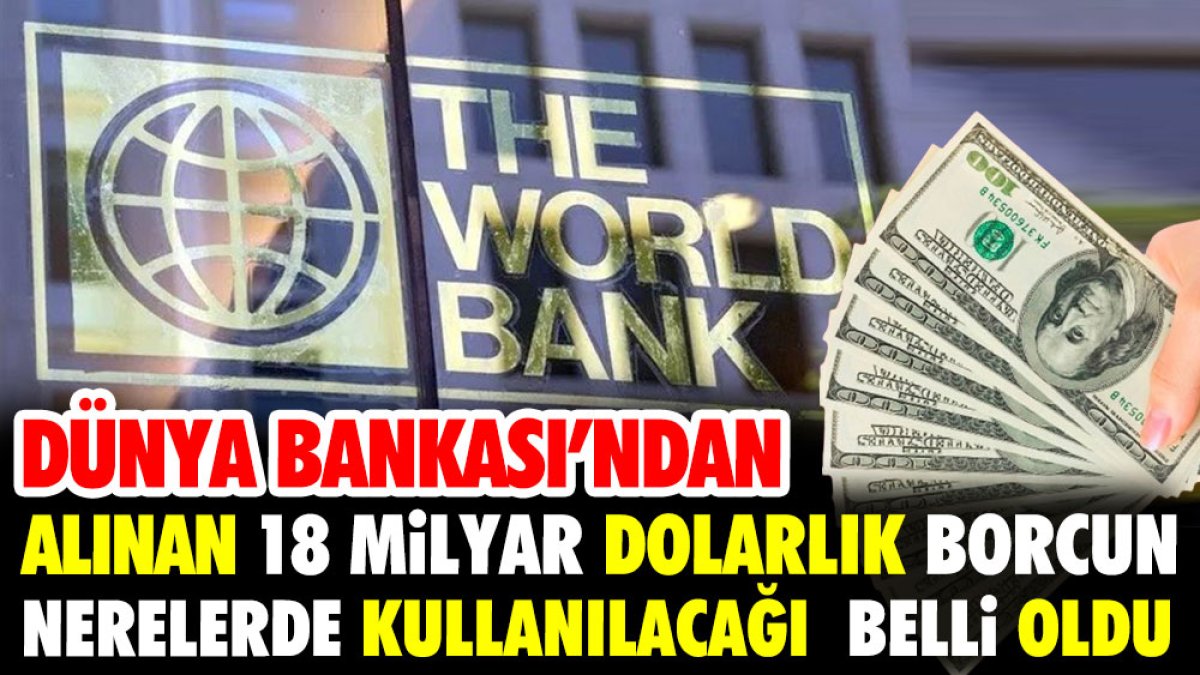 Dünya Bankası'ndan alınan 18 milyar dolarlık borcun nerelerde kullanılacağı belli oldu