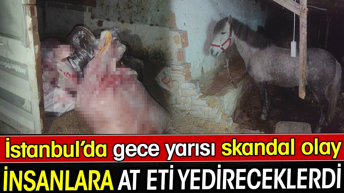 At eti yedireceklerdi. İstanbul'da gece yarısı skandal olay