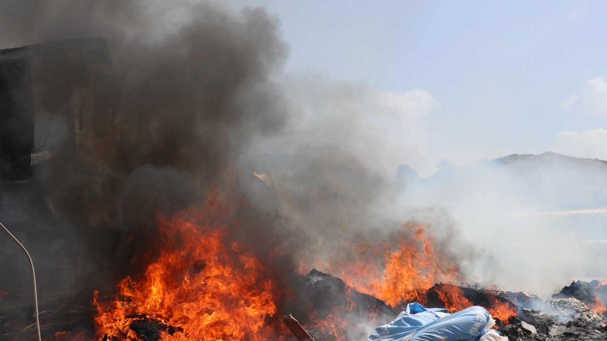Muğla'da konteyner yangını
