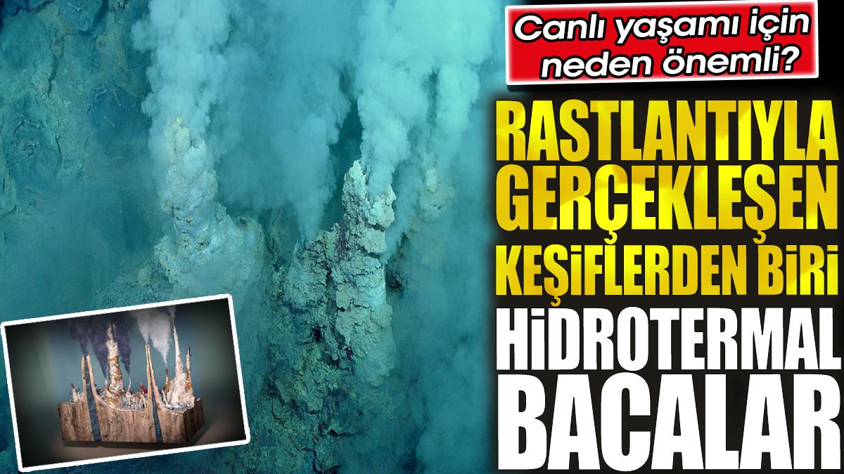 Rastlantıyla gerçekleşen keşiflerden biri: Hidrotermal Bacalar