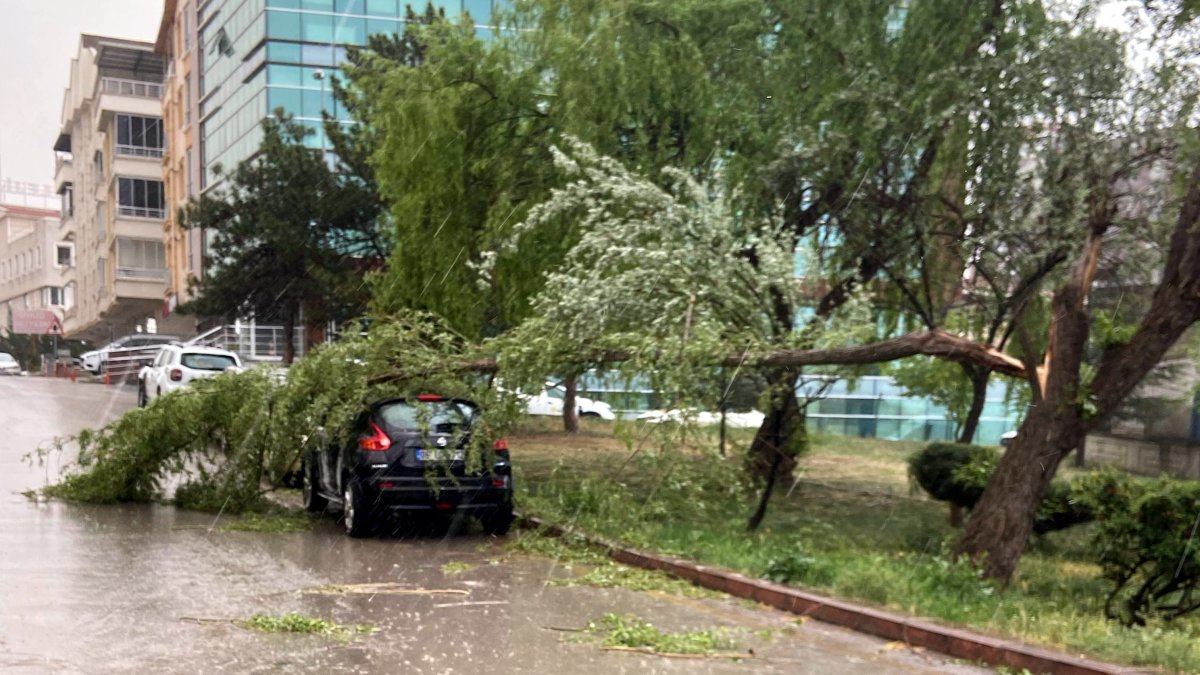Ankara'da fırtına ve sağanak yağış nedeniyle ağaçlar devrildi
