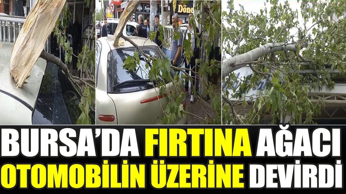 Bursa’da fırtına ağacı otomobilin üzerine devirdi